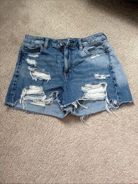 American Eagle Outfitters Distressed Mom shorts